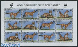 Bhutan 1997 WWF, Dhole M/s, Mint NH, Nature - Animals (others & Mixed) - World Wildlife Fund (WWF) - Bhután