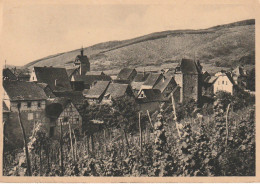 TE 21-(68) RIQUEWIHR - LE VILLAGE DANS SON VIGNOBLE - EDIT . J.F. KUSTER , KAYSERSBERG - 2 SCANS - Riquewihr