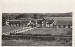 TE 24-(72) MONTFORT PONT DE GENNES - LE HARAS - 2 SCANS - Autres & Non Classés