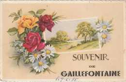 UR 7-(76) " SOUVENIR DE GAILLEFONTAINE " - CARTE FANTAISIE DECOR FLORAL - 2 SCANS - Other & Unclassified