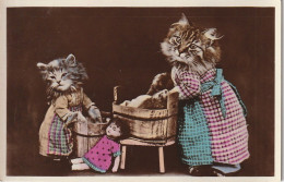 UR 15-  CHATONS HUMANISES FAISANT LA LESSIVE AVEC POUPEE  - CARTE FANTAISIE HUMORISTIQUE - Animaux Habillés