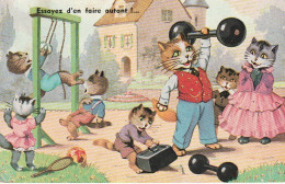 UR 15- " ESSAYEZ D' EN FAIRE AUTANT " -  FAMILLE DE CHATS HUMANISES SPORTIFS : HALTERES , POIDS , ANNEAUX SUR PORTIQUE  - Animali Abbigliati