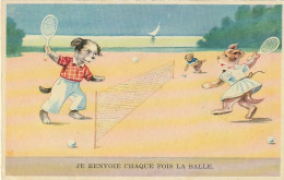 UR 15- " JE RENVOIE CHAQUE FOIS LA BALLE " - CHIENS HUMANISES JOUANT AU TENNIS - CHIEN RAMASSEUR DE BALLES  - Geklede Dieren