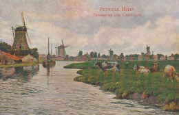 UR 24-( PAYS BAS ) ZAANDAM - MOULINS - TROUPEAU DE VACHES - CARTE PUBLICITAIRE PETROLE HAHN - 2 SCANS - Publicidad