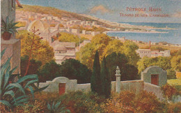 UR 24-( ALGERIE ) ALGER - VUE SUR LA COTE - CARTE PUBLICITAIRE PETROLE HAHN - 2 SCANS - Publicidad