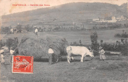 HAUTEVILLE (Ain) - Rentrée Des Foins - Attelage De Boeufs - Voyagé 1910 (2 Scans) - Hauteville-Lompnes
