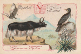 UR 25-(Y) ALPHABET HISTOIRE NATURELLE - ANIMAUX : YACK , YUNGINE , YPONOMENTE - PLANTE : YUCCA - PUBLICITE PHOSCAO - Sonstige & Ohne Zuordnung