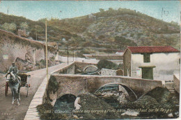 VE 1-(83) OLLIOULES - ROUTE DES GORGES ET PONT DE LA BONNEFONT SUR LA REPPE - CARRIOLE A CHEVAL- 2 SCANS - Ollioules