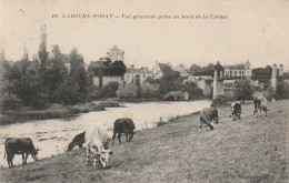 VE 5-(86) LAROCHE POSAY ( LA ROCHE POSAY ) - VUE GENERALE PRISE AU BORD DE LA CREUSE - TROUPEAU DE VACHES - La Roche Posay