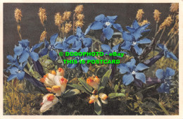 R551326 Spring Gentiana. E. Gyger - Welt