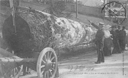 HAUTEVILLE (Ain) - Le Gros Sapin Du Comice - Voyagé 1911 (2 Scans) - Hauteville-Lompnes