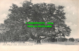 R551341 Sherwood Forest. The Major Oak. Postcard - Welt