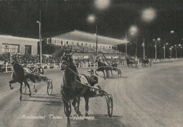 VE 8-( ITALIA ) MONTACATINI  TERME - IPPODROMO - TROTTO TRAINATO - SULKY- 2 SCANS - Horse Show