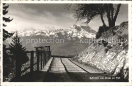 12318172 Leysin Bergstrasse Dents Du Midi Leysin - Sonstige & Ohne Zuordnung