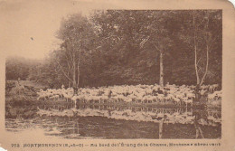 VE 20-(95) MONTMORENCY - AU BORD DE L' ETANG DE LA CHASSE - MOUTONS S' ABREUVANT - 2 SCANS - Montmorency