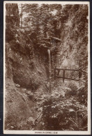 England -  Isle Of Wight - Shanklin Chine - Shanklin