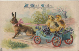 VE 25- " A GLAD EASTER " - CARTE GAUFREE - LAPIN TRACTANT VOITURE CONDUITE PAR  COUPLE DE POUSSINS - EDIT . RAPHAEL TUCK - Pâques