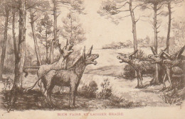 VE 26- " RIEN FAIRE ET LAISSER BRAIRE " - TROUPEAU D' ANES BRAYANT - ILLUSTRATEUR - PHOTOTYPIE  CHAMBON , BORDEAUX - Burros