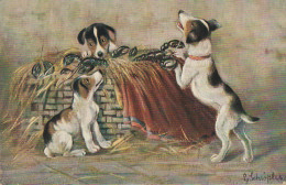 VE 26- TRIO DE CHIOTS JOUANT AVEC DES HOMARDS - ILLUSTRATEUR SCHROPLER - 2 SCANS - Dogs