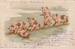 VE 26-  COCHONS , PORCELETS JOUANT A SAUTE MOUTON , A LA QUEUE LEU LEU - ILLUSTRATEUR  - 2 SCANS - Varkens