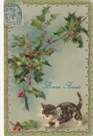 VE 26- " BONNE ANNEE " - CHATON ET BRANCHES DE HOUX - DORURE  - ILLUSTRATEUR - 2 SCANS - Nouvel An