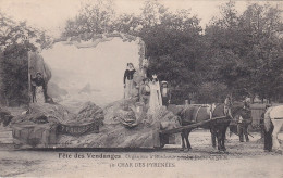 TE Nw28-(33) BORDEAUX - FETE DES VENDANGES ORGANISEE PAR  " LA PETITE GIRONDE " - CHAR DES PYRENEES - Bordeaux