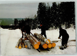 39432206 - Timmerkoerning In Klaraelvdalen  Tiergespann Baumstaemme Werden In Schweden  Transportiert - Culture