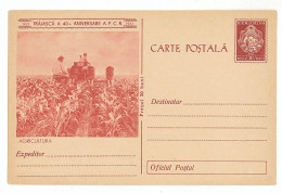 IP 61 C - 92 AGRICULTURE, Corn, Romania - Stationery - Unused - 1961 - Ganzsachen