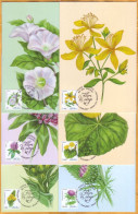2024 Moldova MAXICARD  Wild Flowers, Flora, Nature 6 - Sonstige & Ohne Zuordnung