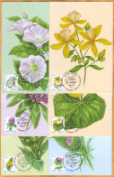 2024 Moldova MAXICARD  Wild Flowers, Flora, Nature 6 - Moldavie