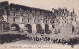 UR Nw 32-(37) CHENONCEAUX - LE CHATEAU - BERGERE ET TROUPEAU DE MOUTONS - Chenonceaux