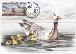 KYRGYZSTAN 2024 KEP 217 THE BAR-HEADED GOOSE MAXIMUM CARD - Oche