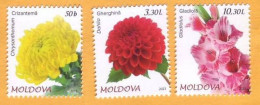 2023  Moldova   „Flora. Garden Flowers.”   Chrysanthemum, Dahlia, Gladiolus  3v Mint - Moldavie