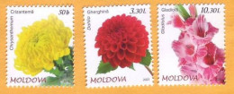 2023  Moldova   „Flora. Garden Flowers.”   Chrysanthemum, Dahlia, Gladiolus  3v Mint - Moldova