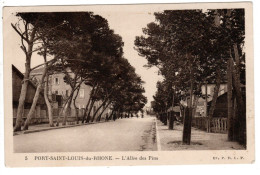 Port Saint Louis Du Rhone , L'allée Des Pins - Other & Unclassified