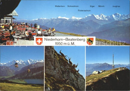 12314231 Beatenberg Berghaus Niederhorn Sesselbahn Steinwild Steinbock Niesen Al - Autres & Non Classés