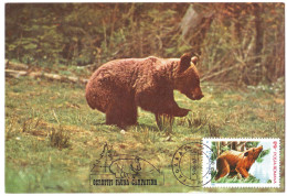 MAX 60 - 313 BEAR, Romania - Maximum Card - 1987 - Maximum Cards & Covers