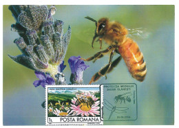 MAX 60 - 689 HONEY BEE, Romania - Maximum Card - 2006 - Maximumkarten (MC)