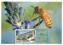 MAX 60 - 690 HONEY BEE, Romania - Maximum Card - 2006 - Maximumkaarten