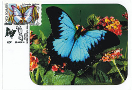 MAX 60 - 211 BUTTERFLY, Romania - Maximum Card - 2010 - Tarjetas – Máximo