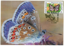 MAX 60 - 121 BUTTERFLY, Romania - Maximum Card - 2005 - Cartes-maximum (CM)