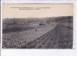 SAINT-MARTIN-la-GARENNE: Culture Des Petits Pois Sous Les Bosquets De La "désirée" - Très Bon état - Otros & Sin Clasificación