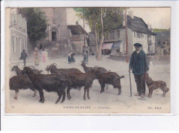 SALIES-de-BEARN: Chevrier, Rare En Couleur - Très Bon état - Salies De Bearn