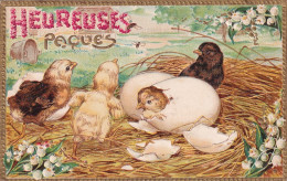 UR Nw41- " HEUREUSES PAQUES " - POUSSINS ECLOS , MUGUET - ENCADREMENT DORE PERLE - CARTE GAUFREE  - Easter