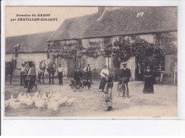 CHATILLON-COLIGNY: Domaine Du Gazon - Très Bon état - Chatillon Coligny