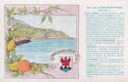 UR Nw44-(06) DEPARTEMENT ALPES MARITIMES - NICE , ENTREE DU PORT - ILLUSTRATEUR - CARTE PUBLICITAIRE PASTILLES VALDA  - Publicidad