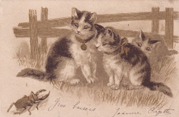 UR Nw44- TRIO DE CHATONS AVEC SCARABEE - ILLUSTRATEUR - DORURE - CARTE PUBLICITAIRE CHICOREE CASIEZ BOURGEOIS - Chats