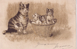 UR Nw44- CHATTE ET CHATONS DANS PANIERE - ILLUSTRATEUR - DORURE - CARTE PUBLICITAIRE CHICOREE CASIEZ BOURGEOIS - Chats