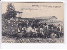 FONTENANY-en-BEAUJOLAIS: Vendanges En Beaujolais - Très Bon état - Other & Unclassified