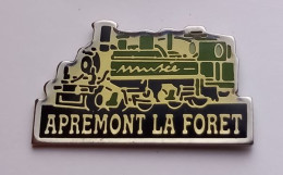 G185 Pin's SNCF TGV Train Locomotive Vapeur Musée Du Chemin De Fer Apremont-la-Forêt Meuse Achat Immédiat - TGV